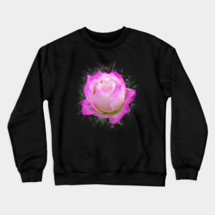 wonderful rose in pink, roses, flower, blossom Crewneck Sweatshirt